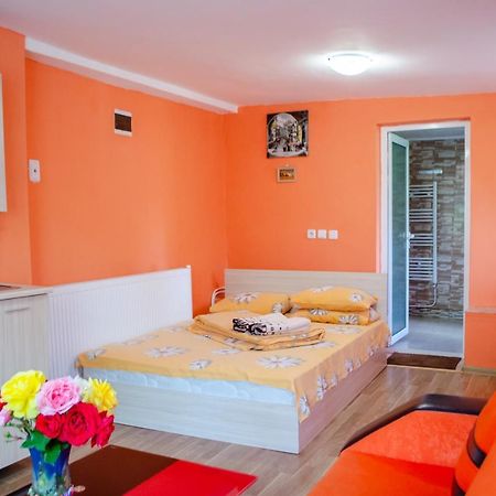 Danailovi Guest House ساباريفا بانيا المظهر الخارجي الصورة