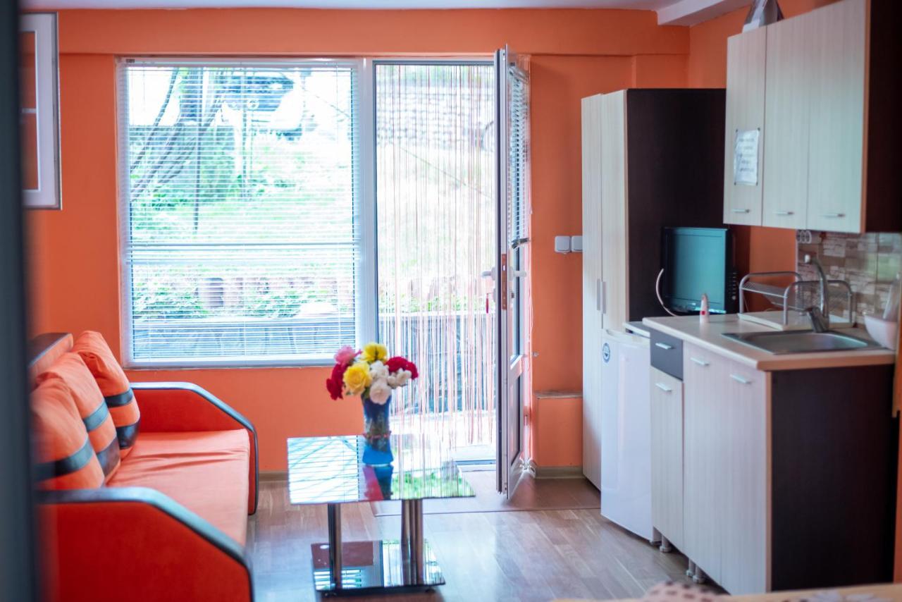 Danailovi Guest House ساباريفا بانيا المظهر الخارجي الصورة