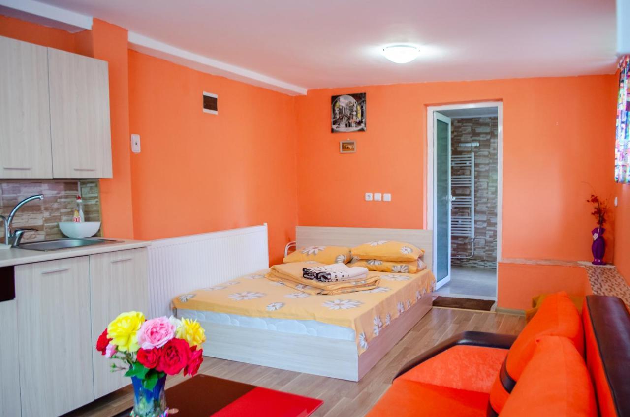 Danailovi Guest House ساباريفا بانيا المظهر الخارجي الصورة
