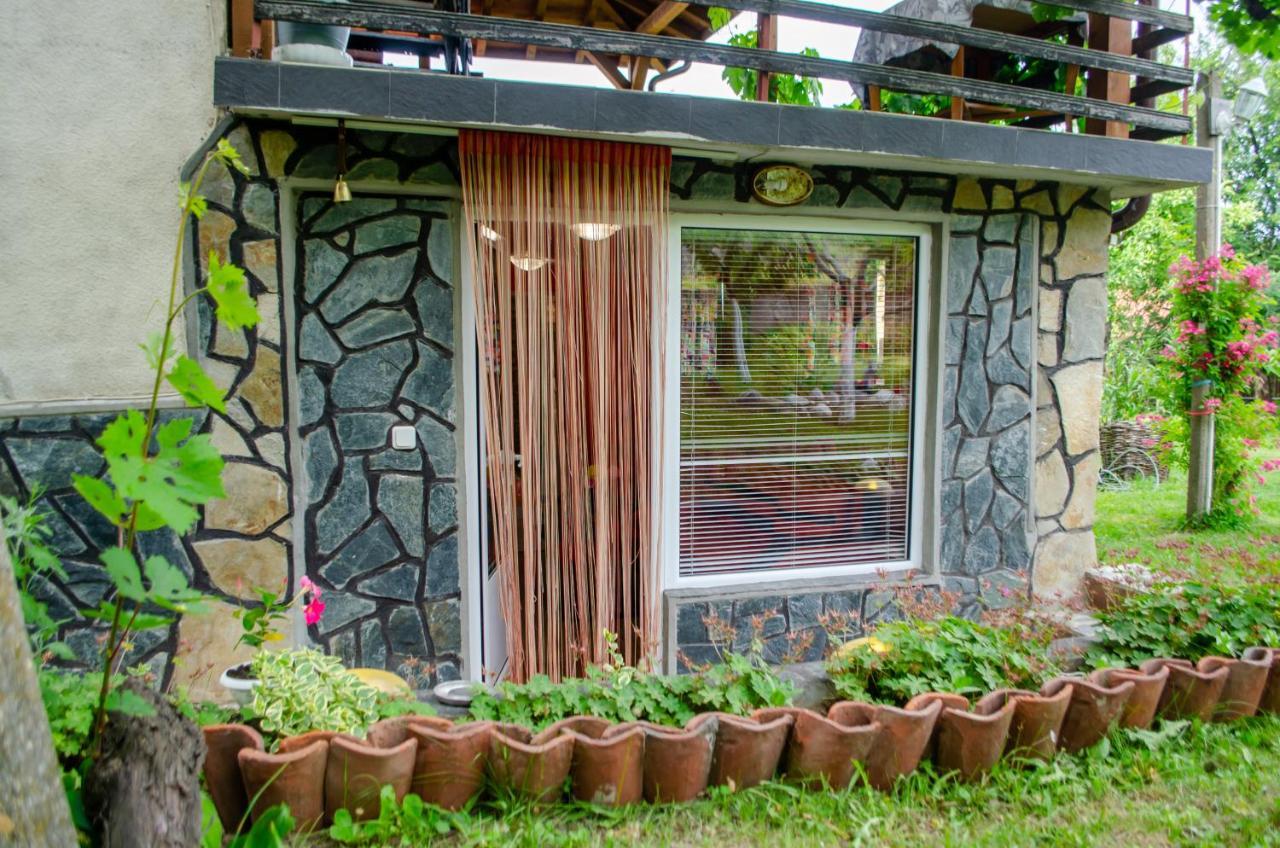 Danailovi Guest House ساباريفا بانيا المظهر الخارجي الصورة